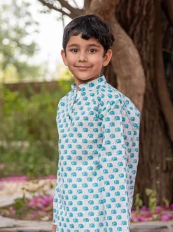 Gajraj Organic Cotton Kurta