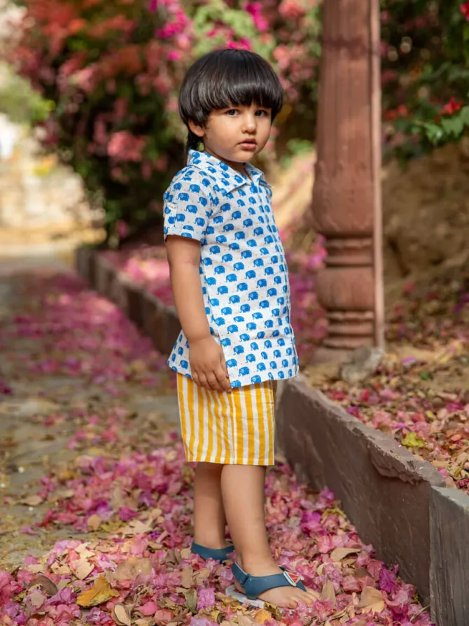 Haathi Mere Saathi Organic Cotton Printed Shirt