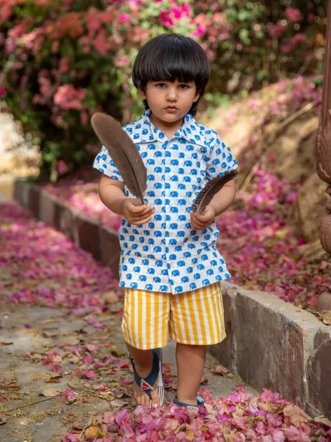 Haathi Mere Saathi Organic Cotton Printed Shirt