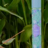 Jasmine Essential Oil Incense Sticks