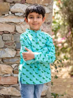Jhankar Organic Cotton Shirt Kurta with Roll Up Sleeves