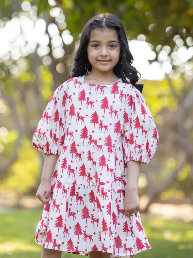 Snowy Elves Organic Cotton Dress